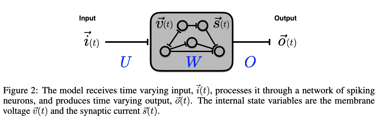 Network_model