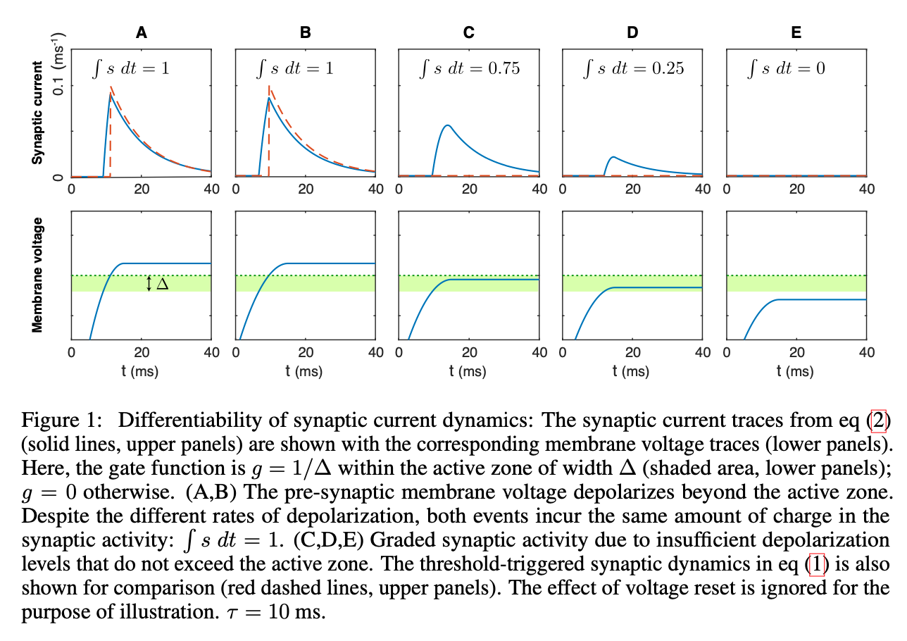 Synaptic_model