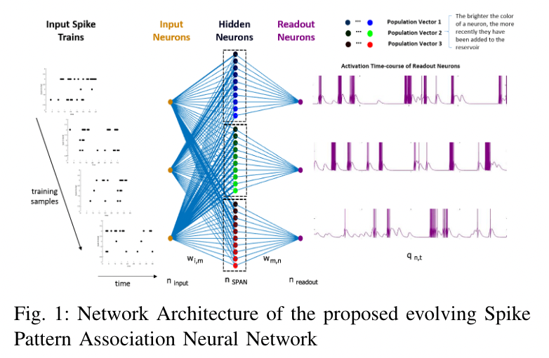 eSPAN_network